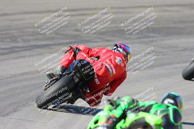 media/Feb-04-2024-SoCal Trackdays (Sun) [[91d6515b1d]]/4-Bowl Backside (11am)/